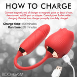 10X Romping Rose Suction and Thrusting Vibrator Clitoral Suction Vibrator，US Warehouse