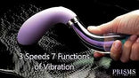 10X Pari Dual Ended Wavy Silicone and Glass Vibrator，US Warehouse