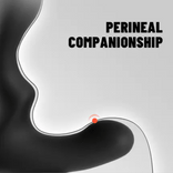 ANAL TOY-Remote Controller 9-Pattern Vibration Prostate Massager For Man Sex Toy
