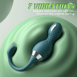 ANAL TOY-360° Rotating Clitoral Anal & Vagina Bullet Trainer Vibrator & Prostate Massager for Couple