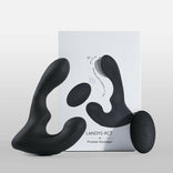 ANAL TOY-Remote Controller 9-Pattern Vibration Prostate Massager For Man Sex Toy